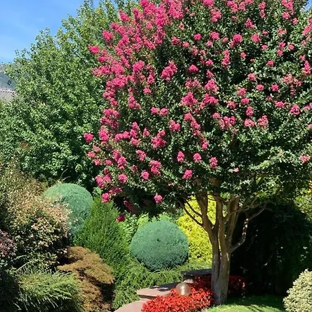 Rayon De Soleil Appartement Saint-Vincent