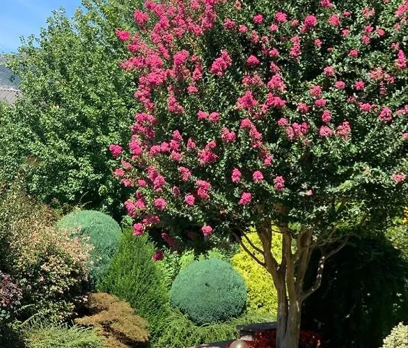 Rayon De Soleil Apartamento Saint-Vincent